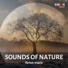 Download track Power Of Nature