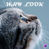 Download track Why Look