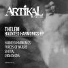 Download track Haunted Harmonics