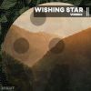 Download track Wishing Star (Radio Mix)