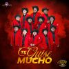 Download track Te Quise Mucho