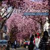 Download track Springtime (Chill Mix)