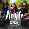 Download track Koste