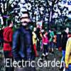 Download track Electric Garden