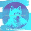 Download track Dream-Like Mans Best Friend