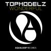 Download track Wonderful (Single Mix)