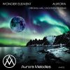 Download track Aurora (Shockwaves Remix)