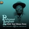 Download track Professor Longhair Blues