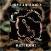 Download track Brass (Ancodynew Extended Remix)