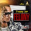 Download track Felony