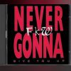 Download track Never Gonna Give You Up (Drum Mix)