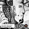 Download track Black Arrow