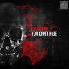 Download track You Cant Hide