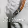 Download track Fake Promises (Radio Edit)