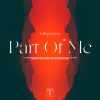 Download track Part Of Me