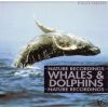 Download track Whales & Dolphins - Suite