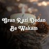 Download track Gran Razi Dedan Be Wakam