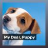 Download track Hideout For A Puppy