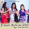 Download track E Sakhi Bulletwa Wala