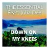 Download track Down On My Knees (Live Mix)