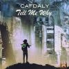 Download track Tell Me Why (Radio Edit)