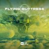 Download track Flying Buttress (Original Mix)