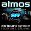 Download track Mint Beyond Surrender (Etic Remix)