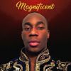 Download track Magnificent