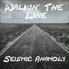 Download track Walkin' The Line