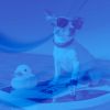 Download track Paradise Like Ambience For Relaxing Your Dog