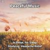 Download track Peaceful Music, Pt. 18