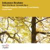 Download track Serenade No. 1 In D Major, Op. 11: III. Adagio Non Troppo