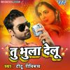 Download track Bhula Delu