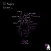 Download track B12 (Dub Mix)