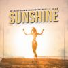 Download track Let The Sunshine In Your Heart (Vocal Up Mix)