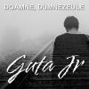 Download track DOAMNE, DUMNEZEULE