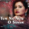 Download track Tum Na Aaye O Sanam