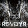 Download track Rovdyr