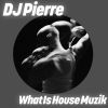 Download track What Is House Muzik (Original Remaster 2024)