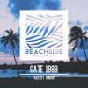 Download track Gate 1989 (Original Mix)