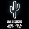 Download track Sugar Tree (Live Session)