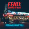 Download track Feelings For You (Radio Edit)