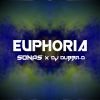 Download track Euphoria