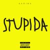 Download track Stupida