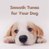 Download track Smooth Tunes For Your Dog