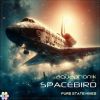 Download track Spacebird (Pure State Space Mix)