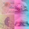 Download track Wondrous Ambience For Keeping Pups Happy