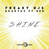 Download track Shine (Radio Mix)