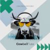 Download track Cowbell Flute (Extended Mix)