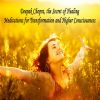 Download track Deepak's Seven Laws Of Abundance Meditation